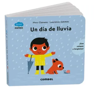 UN BDIA DE LLUVIA