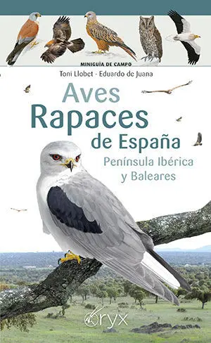 AVES RAPACES DE ESPAÑA PENINSULA IBERICA Y BALEARE