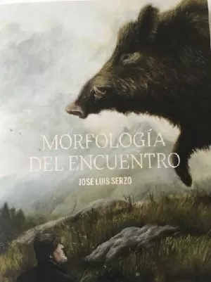 MORFOLOGIA DEL ENCUENTRO MORFOLOGIA DEL ENCUENTRO