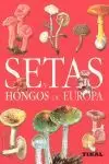 SETAS Y HONGOS DE EUROPA